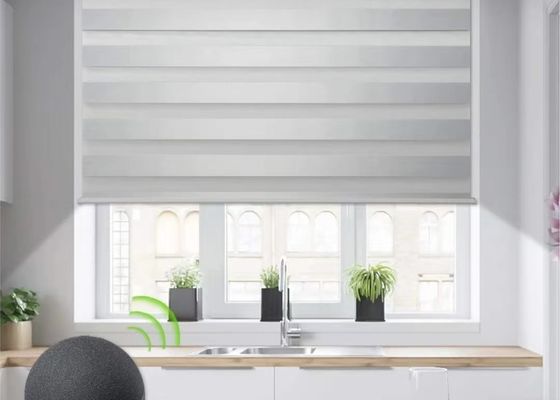 Manuelles halb blindes Zebra-blinder Vorhang für die Wohnzimmer-flexible Verdunkelung