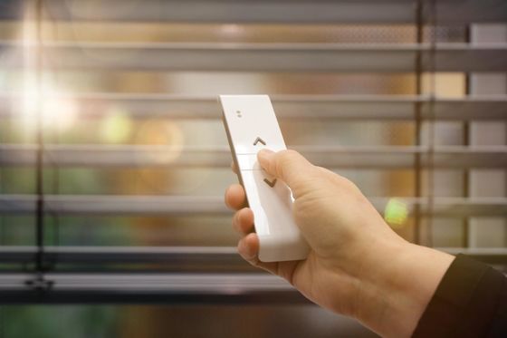 Zebra-Doppelschicht-Büro-Fenster drapiert blindes drahtloses mit intelligentem Motor