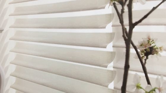 Schatten-Traumstromausfall Shangri-La-Vorhang-elektrisches motorisiert für Fenster-Dekoration