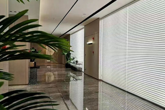 Romantische elegante Shangri-La-Vorhänge, Breathable Schlafzimmer-Fenster-Vorhänge