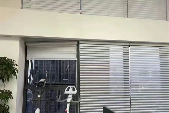 Doppelte bloße Zebra-Jalousien motorisiert für Büro-Café-Hotel