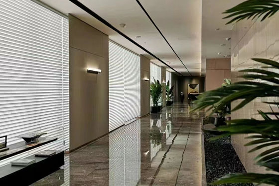 Schlafzimmer windundurchlässige Shangri-La-Vorhänge für Dekorations-volle helle Schattierung
