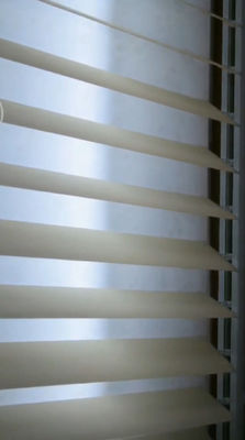 PVC schäumen halb blindes wasserdichtes UVmehltau-Öl-beständiger vertikaler Traumvorhang