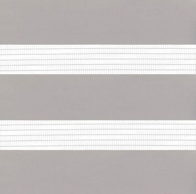 Wasserdichtes Rollen-Zebra-blindes Vorhang-Studien-halb blindes lichtdurchlässiges Sonnenschutz-Handbuch-unbedeutende Zug-Perlen