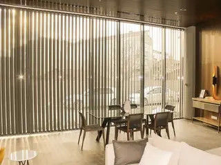 Halb drapieren Blindheits-Büro-Vorhang Schlafzimmer-Badezimmer-Balkon-Vertikaljalousie-Gewebe-Zug-Vorhang