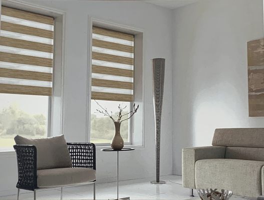 Doppelschicht-Zebra-weicher Gauze Blackout Curtains Office Bathroom-Technik-Sonnenschutz und Lichtschutz